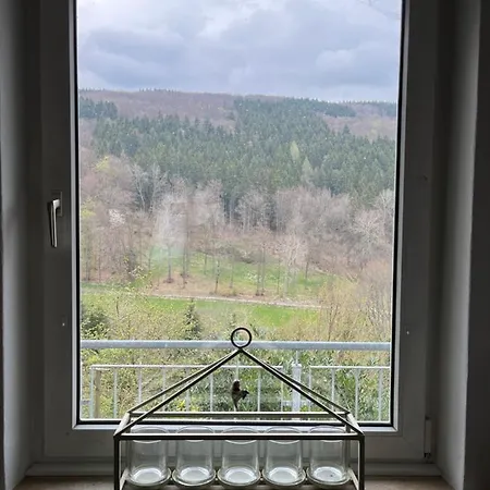 Zum Poen Apartment Medebach