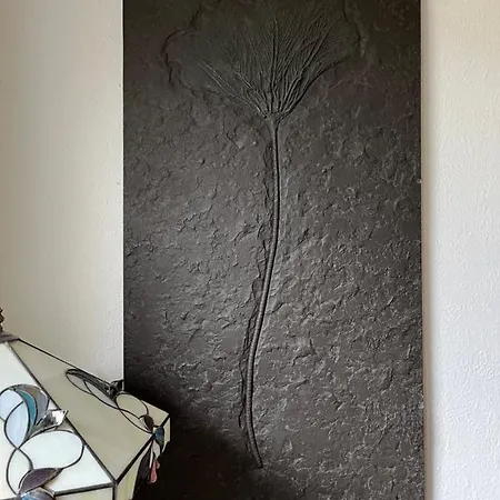 Apartamento Zum Poen *