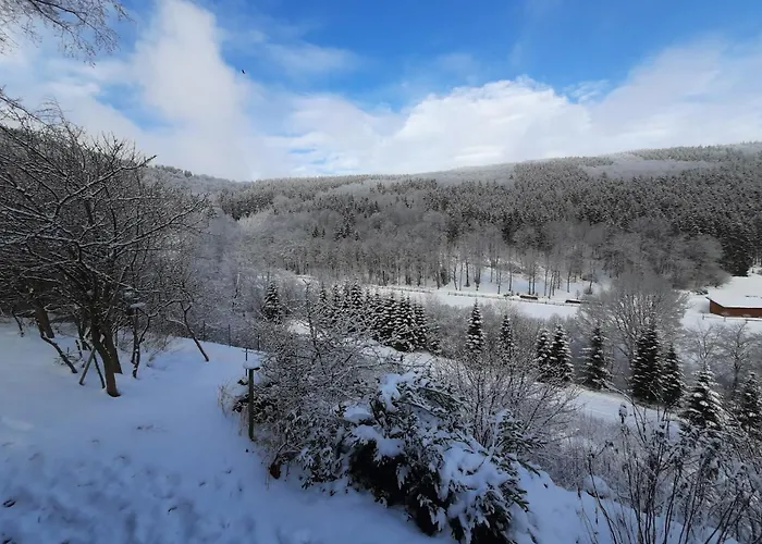 Zum Poen Appartement