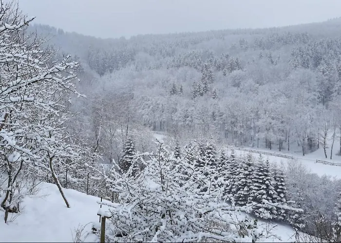 Zum Poen Appartement Medebach